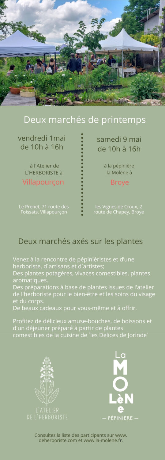 Marché de printemps